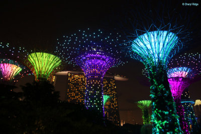 Gardens by the Bay