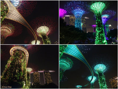 supertrees-various3.jpg
