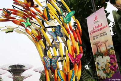 0579-gardens-by-the-bay.jpg