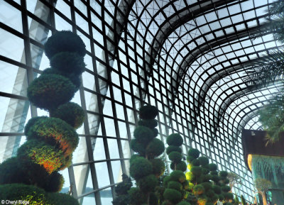 P8280106-gardens-by-the-bay.jpg