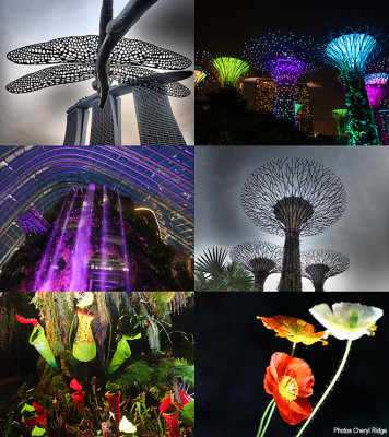 gardens-by-the-bay.jpg
