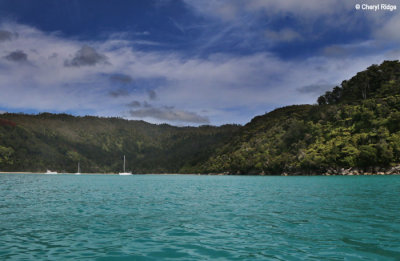 5981b-abel-tasman.jpg