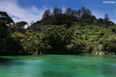 6063b-abel-tasman.jpg