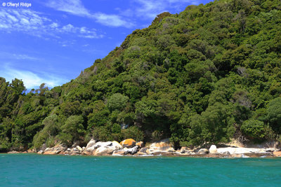 6077b-abel-tasman.jpg