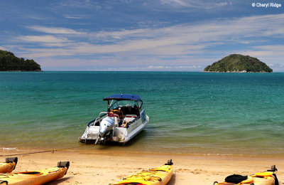 6113b-abel-tasman.jpg