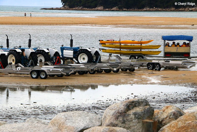 6121-abel-tasman.jpg