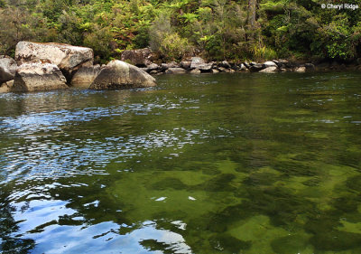 PC310018-abel-tasman.jpg