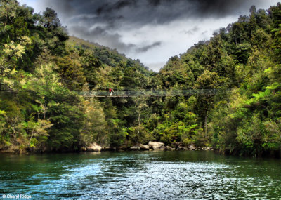 PC310026-abel-tasman.jpg