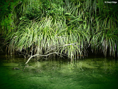 PC310035-abel-tasman.jpg