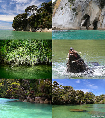 abel-tasman.jpg