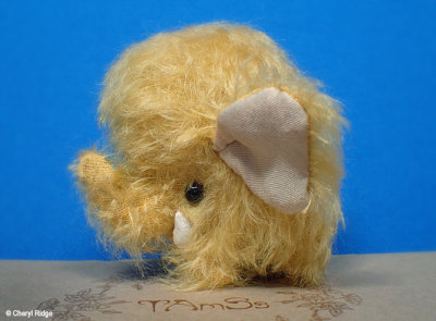 Cookie wooly baby mammoth from Russia