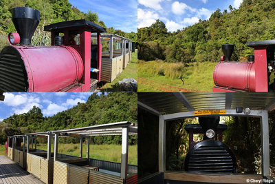rainforest-train.jpg