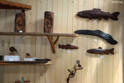 5714-ngatimoti.jpg