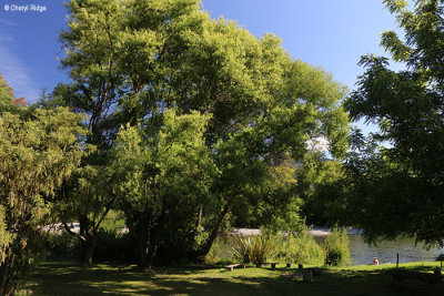 5722-ngatimoti.jpg