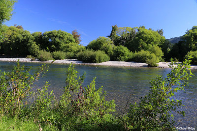 5728-ngatimoti.jpg
