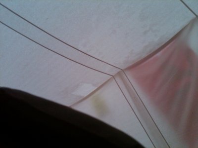 FB2011-15.jpg