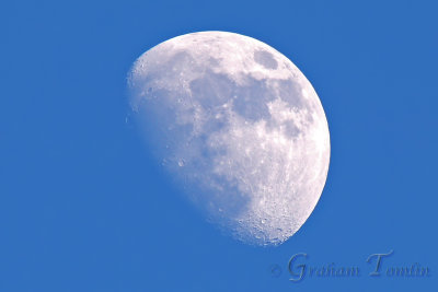 5DM36546 moon edit with name small.jpg