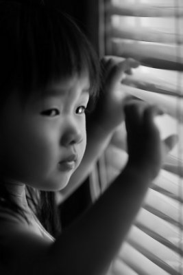 HebbyFocus-11_resize.jpg