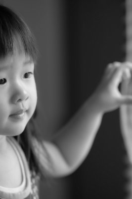 HebbyFocus-12_resize.jpg