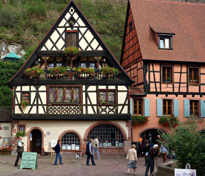 Timbered House