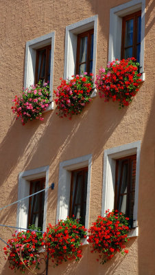 Window Boxes