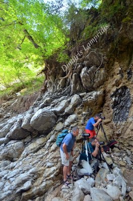 Waterfalls of Chalikorema ...