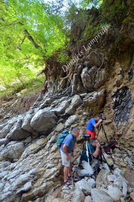 Waterfalls  of  Chalikorema  ...