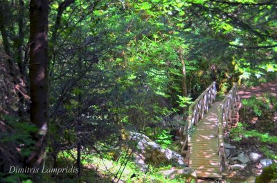 Black Cave Gorge - Karpenisi ...