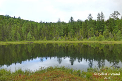 Petit lac  4 km du lac Glazier m15