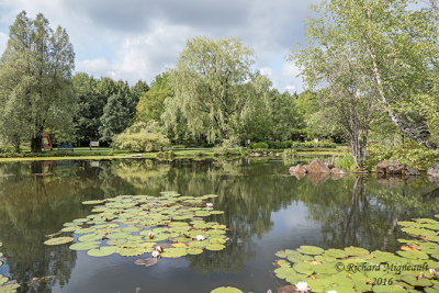 Jardin botanique dEdmundston 2016 8