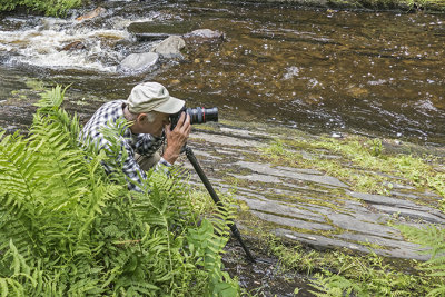 Falls Brook 3 juillet 1 m16