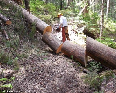 More logs