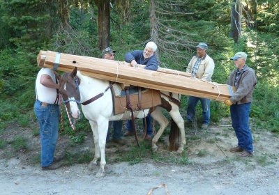 Snowgrass/Goat Creek Plank Packing,  July 2013