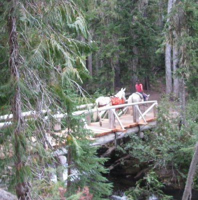 Danielle - Goat Creek Bridge.JPG