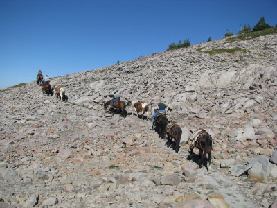 PCT - slopes of Old Snowy.JPG