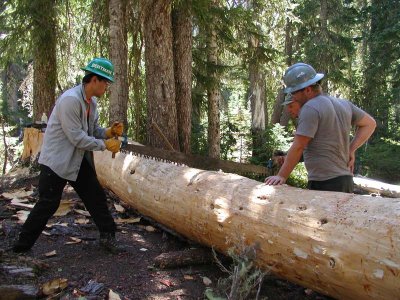 31 - Cutting stringer to length.jpg