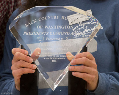 President's Diamond Award