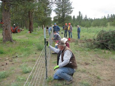 #19 - Hanging Wire.JPG