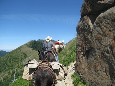 5 - Goat Mt Trail.JPG
