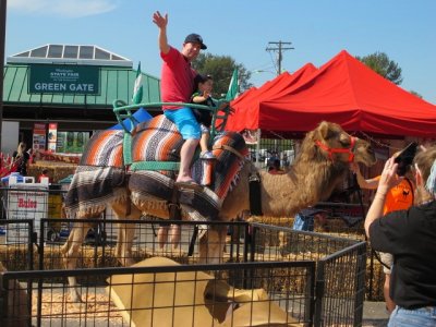 BCHW At the Washington State Fair/Food Drive