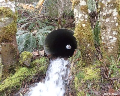 Culvert cleared and flowing free