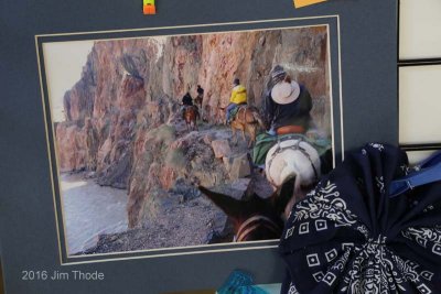 On the Trail 1st: Lori Lennox-Grand Canyon