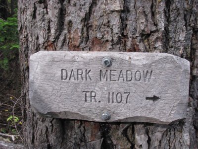 2 - Dark Meadow.JPG