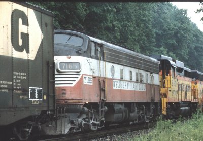 WM7165_F7A_7907DonL_1200.jpg