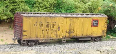 BRCX5177a_1200.jpg
