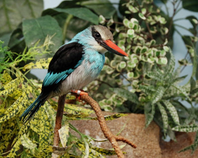 IMG_1173.jpg