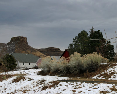 IMG_0064.jpg