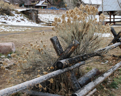 IMG_0067.jpg