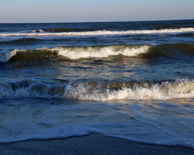 IMG_0230.jpg