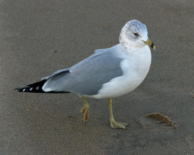 IMG_0256_edited-1.jpg